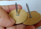 Carbon Steel Di Electric Cup Head Pins voor het bevestigen van glasvezelisolatie op metalen leidingen