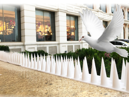 Eenvoudige installatie Plaagbestrijding Vogelspikes in plastic