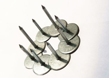 19mm de Spelden van het Nagellassen