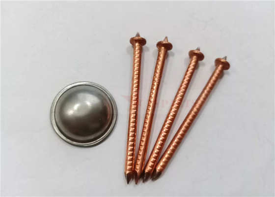 De Isolatie van laag Koolstofstaalcd nagelt 3mm Diameter met Zelfsluitende Wasmachines